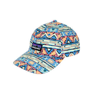 Patagonia Baseball Caps Unisex Salamander Green