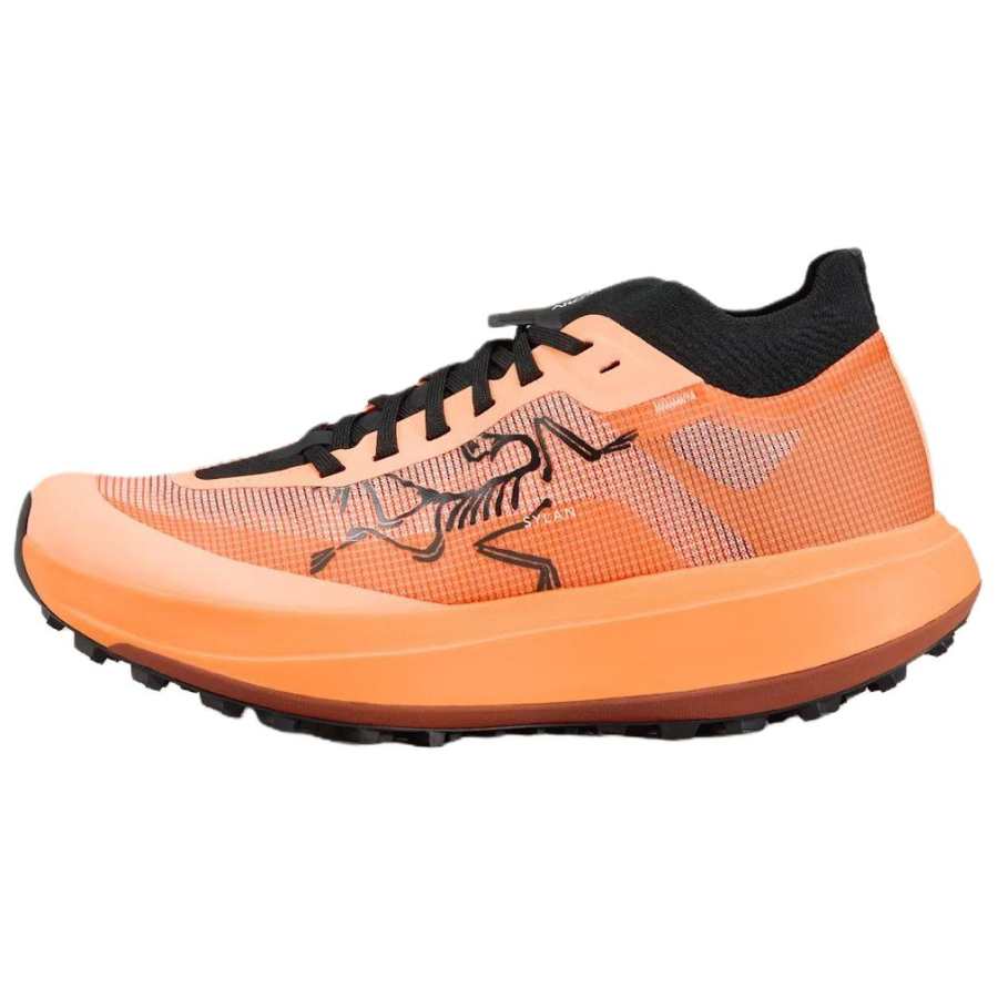 Arcteryx Arc'teryx SYLAN PRO Running Shoes Men's Orange