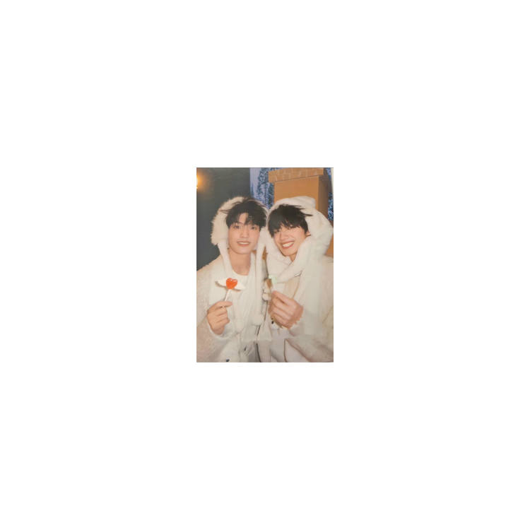 TF ENTERTAINMENT 5 Pack Bear Living Together Collection Photocards