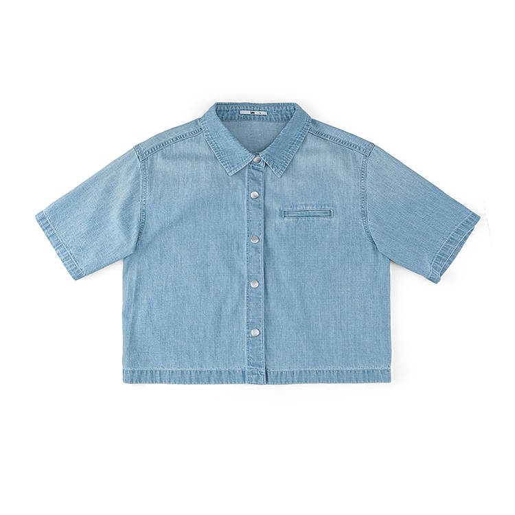 Lee Shirts Women's Light Blue Lapel Straight Fit