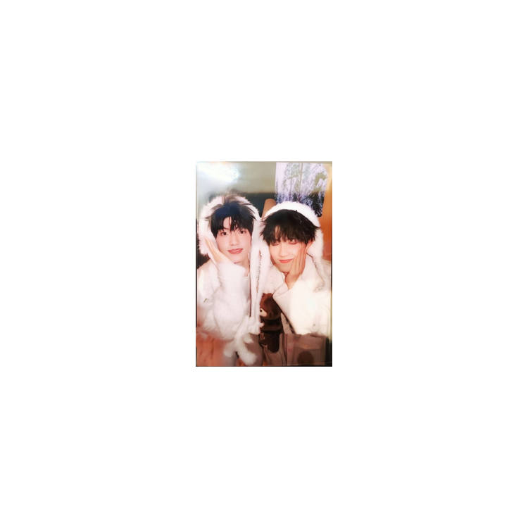 TF ENTERTAINMENT 5 Pack Bear Living Together Collection Photocards