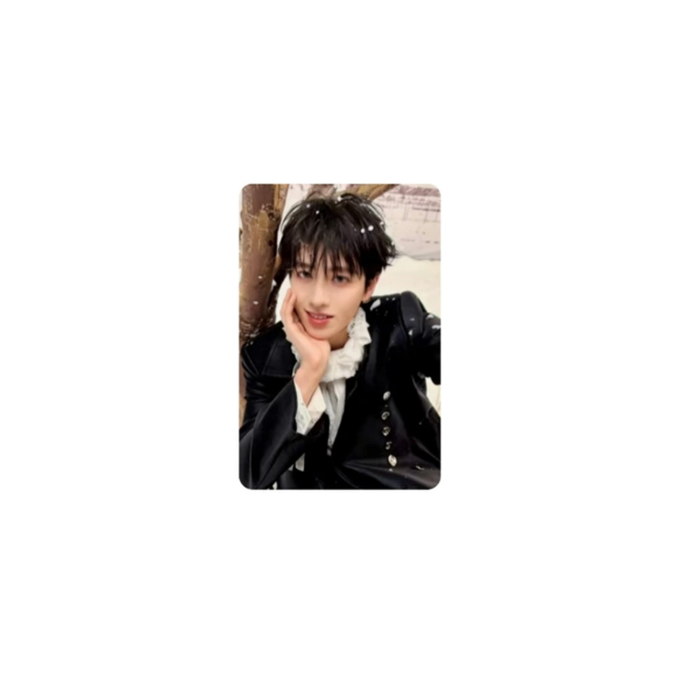 TF ENTERTAINMENT Untamed UNGEZÄHMT Photocards