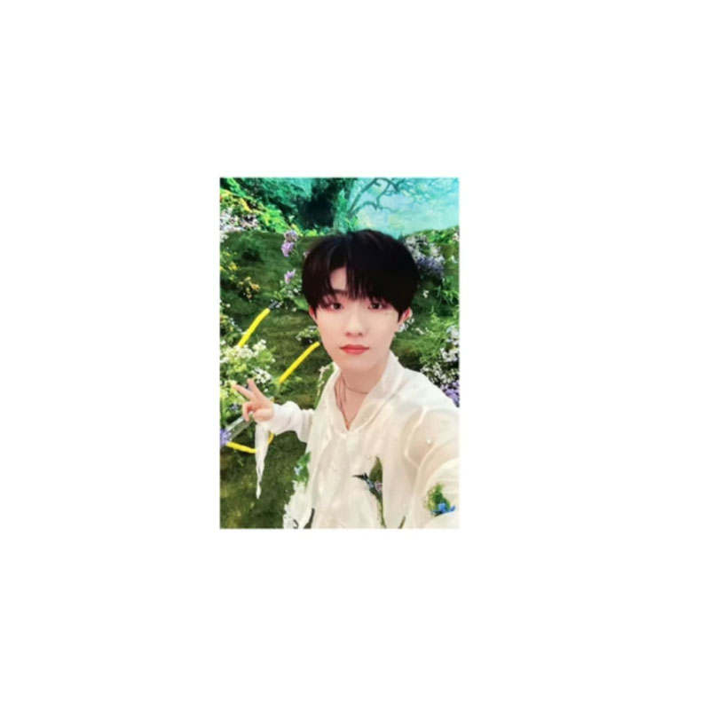 TF ENTERTAINMENT 5 Pack Bear Living Together Collection Photocards