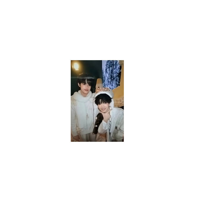 TF ENTERTAINMENT 5 Pack Bear Living Together Collection Photocards