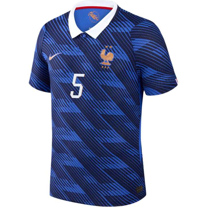 Nike Nike France National Team Soccer Jerseys Men's Blue Lapel Moderate