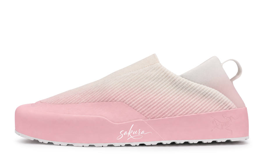 Arcteryx KRAGG Casual Shoes Unisex Low Top Pink/Purple