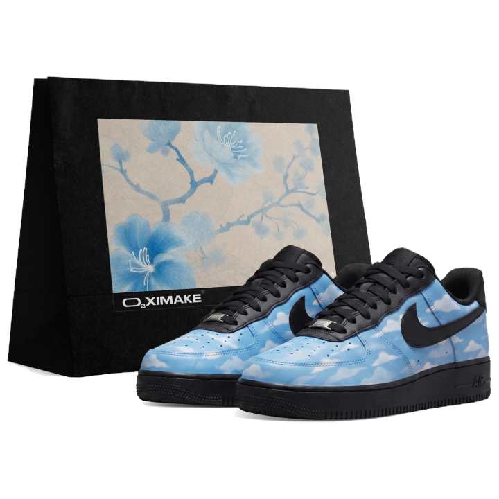 Nike Nike Air Force 1 Skateboard Shoes Unisex Low Top White/Blue