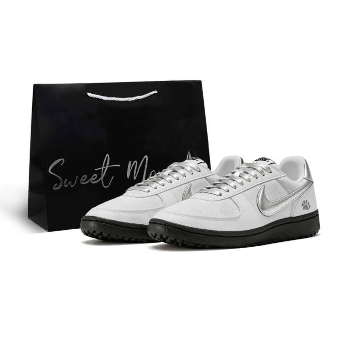 Nike Nike Field General Casual Shoes Women's Low Top White, Silver