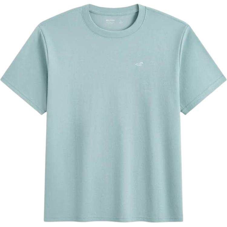 Hollister/ T Shirts Men's Turquoise Crew Neck