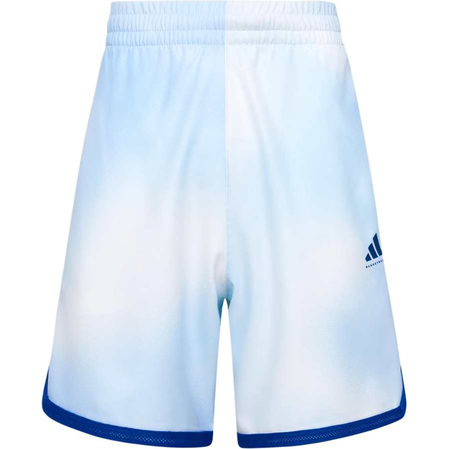 Adidas Adidas Basketball Shorts Men's Pink Blue Moderate