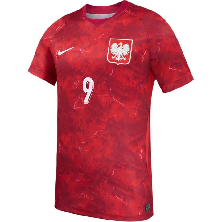 Nike Nike Poland National Team Soccer Jerseys Men's Red V Neck Moderate