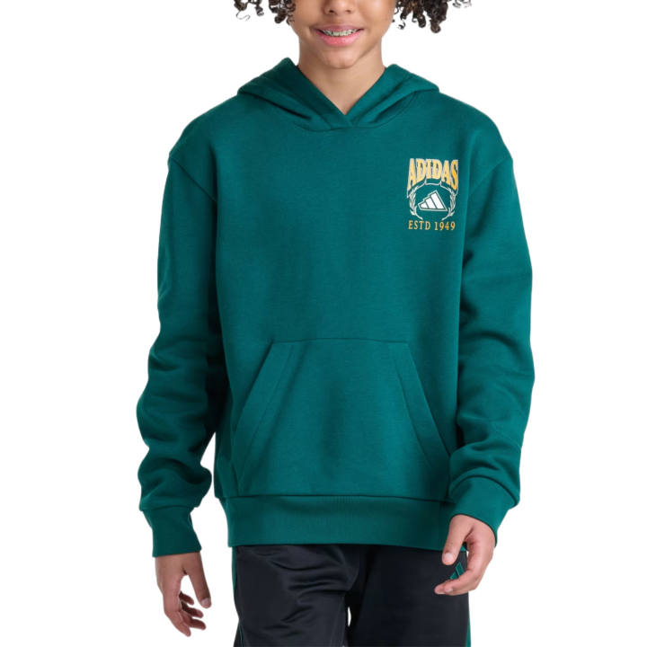Adidas Adidas Kids Sweatshirts Hooded Non Detachable Moderate