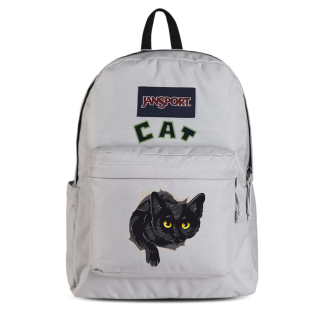 JanSport Fabric Backpack Regular Unisex Rime