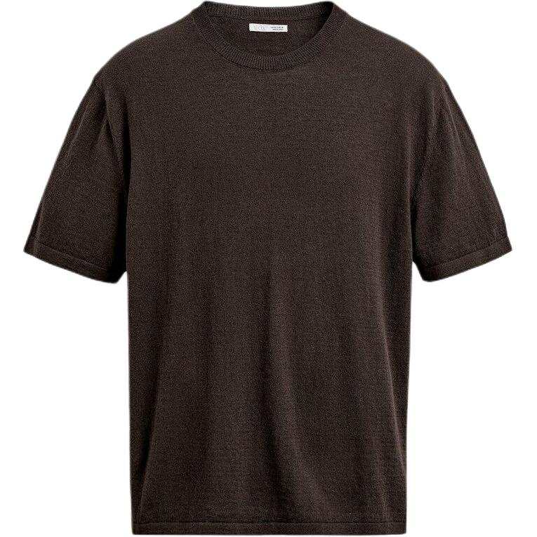 ZARA T Shirts Men's Brown Crew Neck Moderate Straight Fit