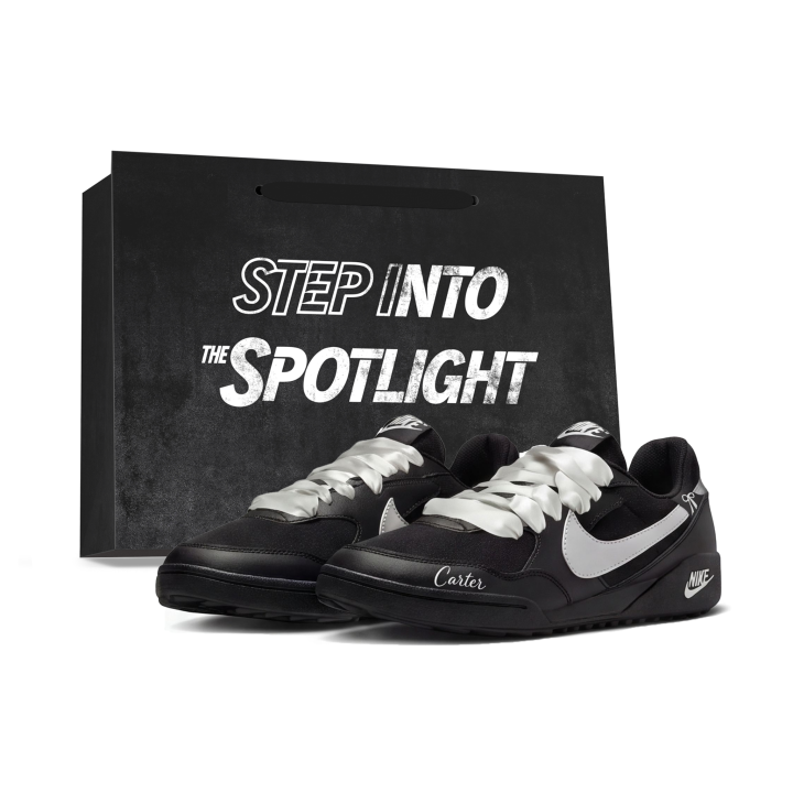 Nike Nike Terra Manta Casual Shoes Women's Low Top Silver