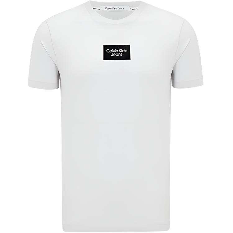 CALVIN KLEIN T Shirt Men's Gray White
