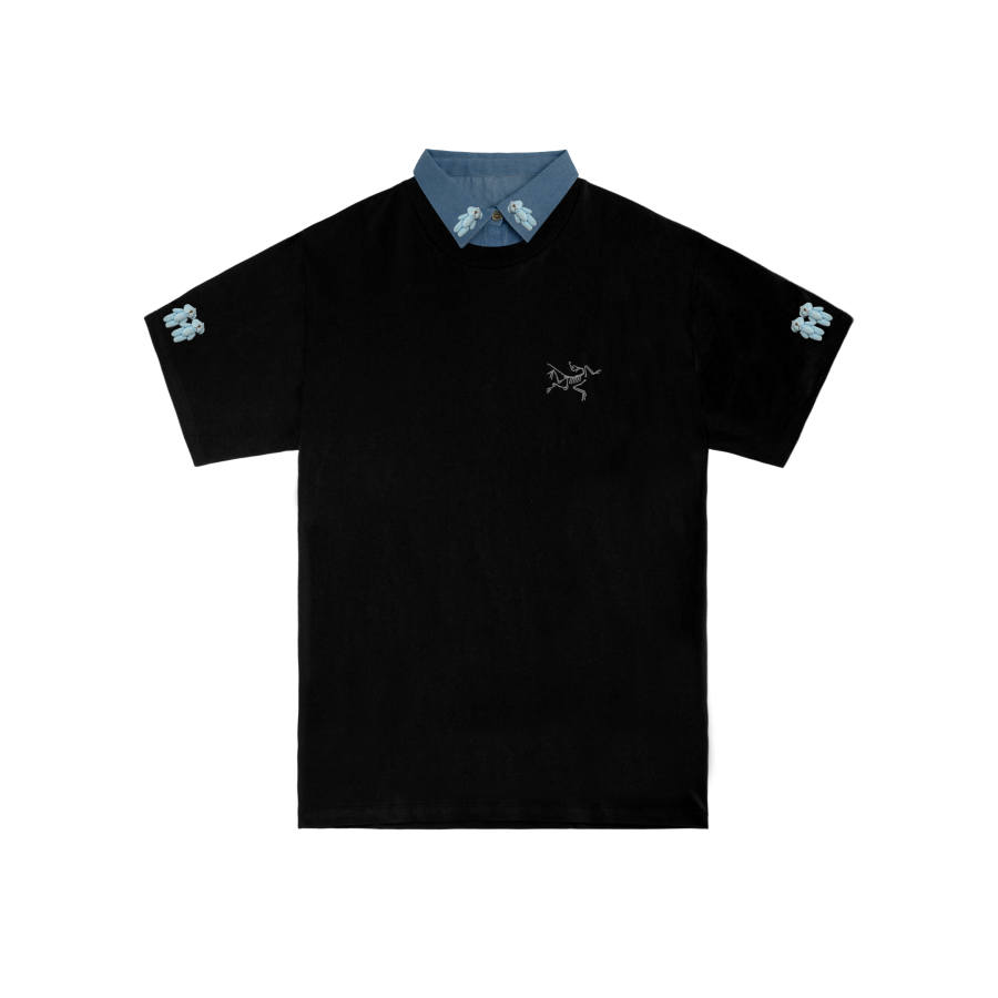 Arcteryx KRAGG T Shirts Men's Black/Black International, Suggestion Size Small Crew Neck