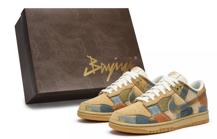 Nike Nike Dunk Skateboard Shoes Men's Low Top Brown/Blue/Green/Orange