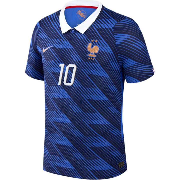 Nike Nike France National Team Soccer Jerseys Men's Blue Lapel Moderate