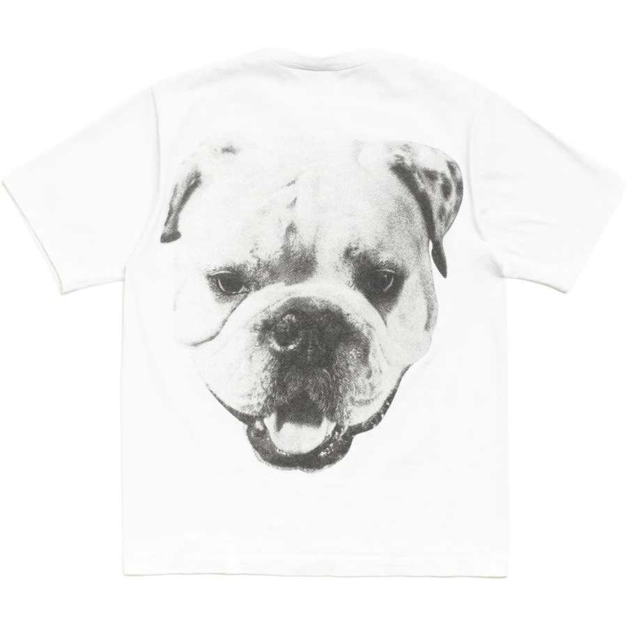 Stussy SS26 T Shirts Unisex Crew Neck