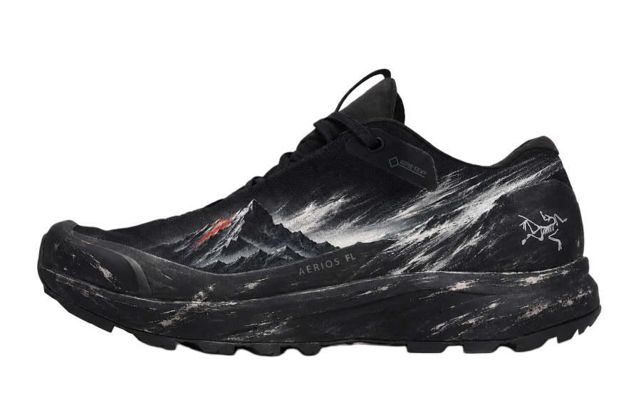 Arcteryx AERIOS FL 2 Outdoor Shoes Unisex Low Top Silver