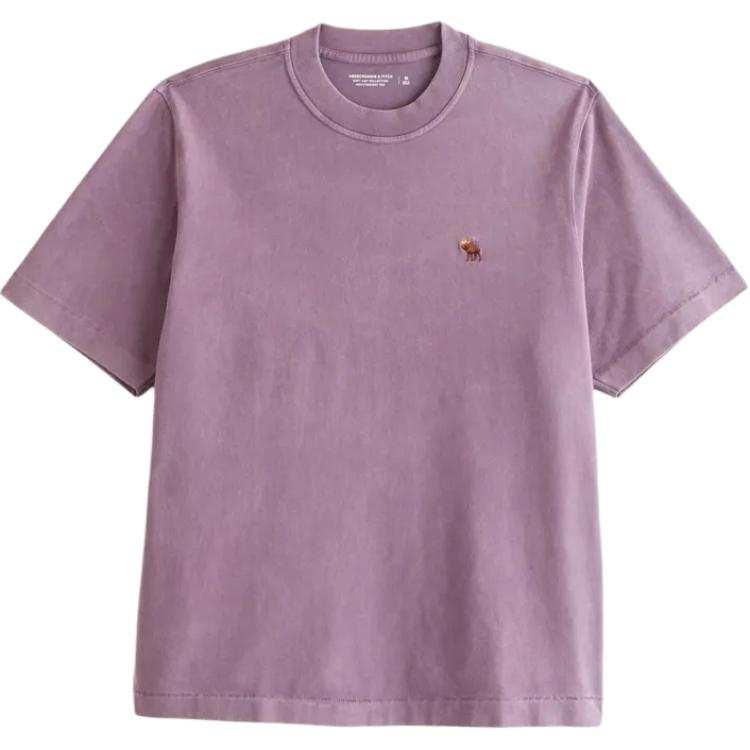 Abercrombie&Fitch T Shirts Men's Berry Crew Neck