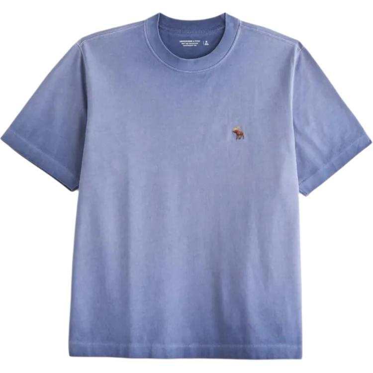 Abercrombie&Fitch T Shirts Men's Blue Crew Neck