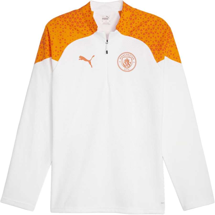 PUMA Manchester City Soccer Jerseys Men's Marble Moderate