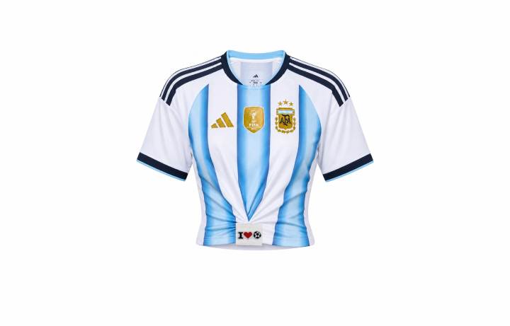 Adidas Adidas T Shirts Women's Chasing Dreams Blue White Blue White Crew Neck Moderate