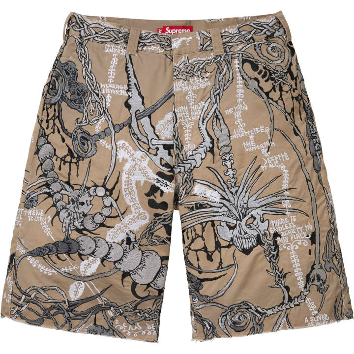 Supreme Supreme SS26 Cargo Shorts Unisex Moderate