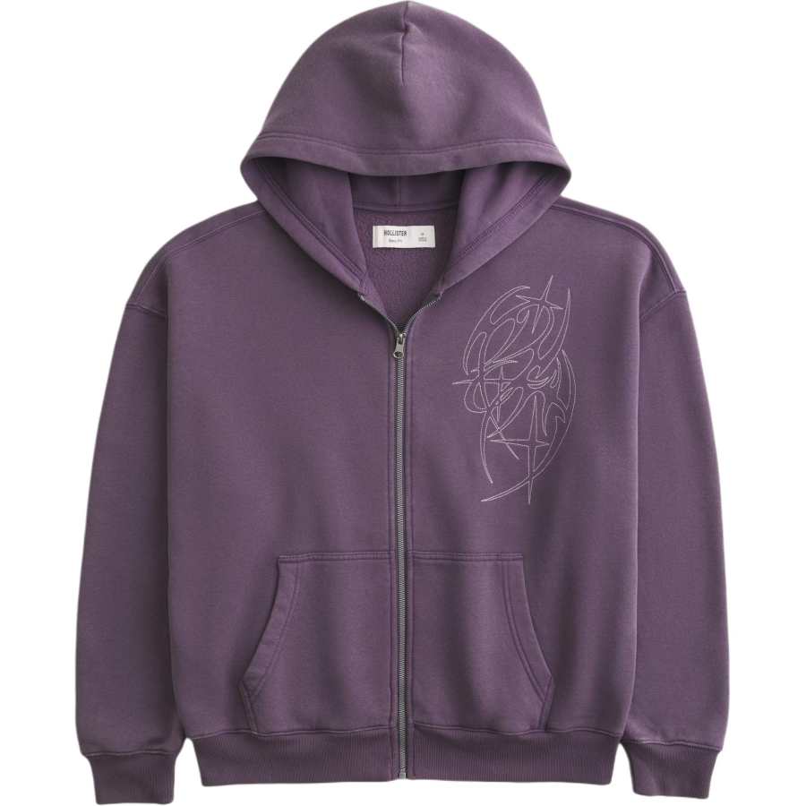 Hollister/ Sweatshirts Men's Purple Hooded Non Detachable Moderate