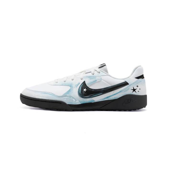 Nike Nike Terra Manta Skateboard Shoes Unisex Low Top Blue