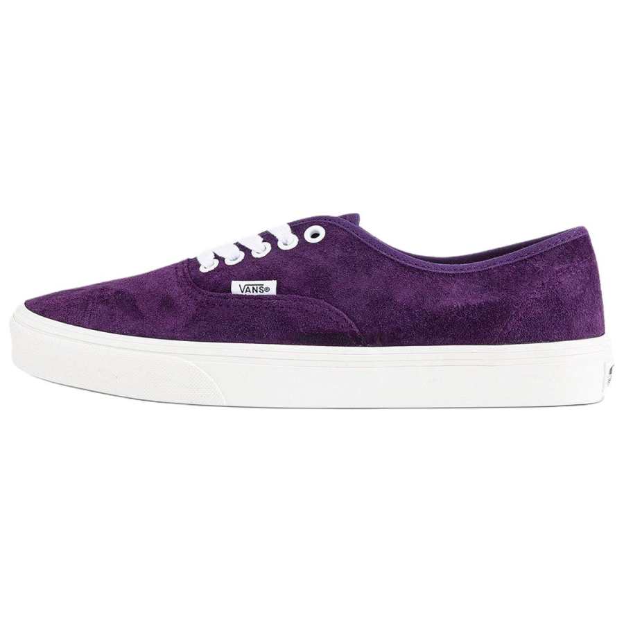 Vans Vans Authentic Skateboard Shoes Unisex Low Top Purple