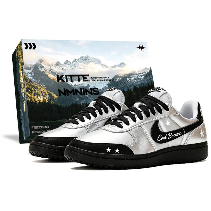 Nike Nike Field General Casual Shoes Women's Low Top Silver/Black