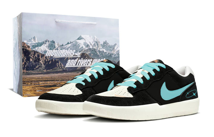 Nike Nike SB Force 58 Skateboard Shoes Men's Low Top Black Blue