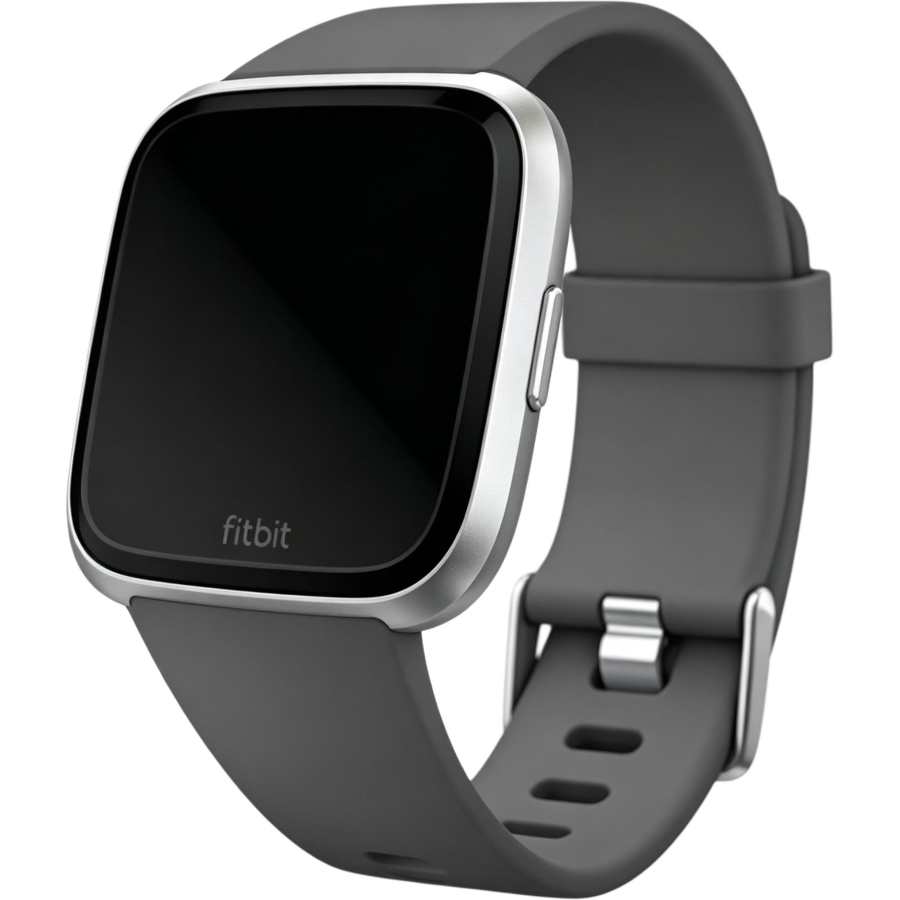 FITBIT FITBIT Smart Watches
