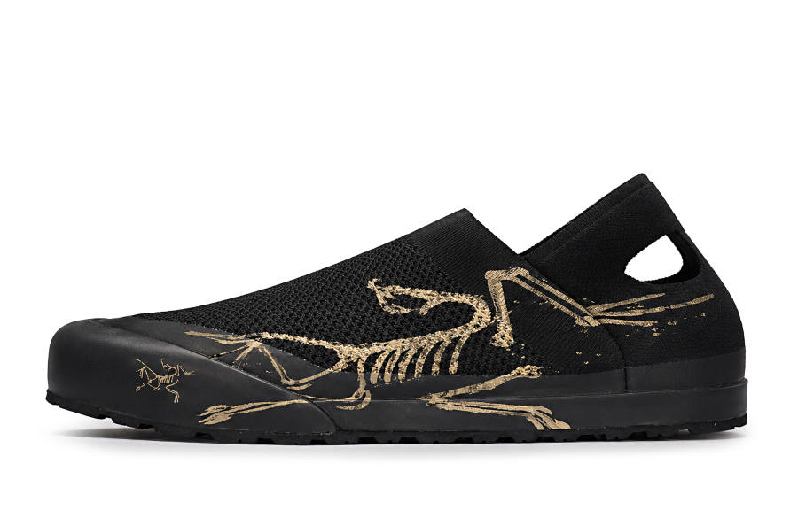 Arcteryx KRAGG Casual Shoes Men's Low Top Gold