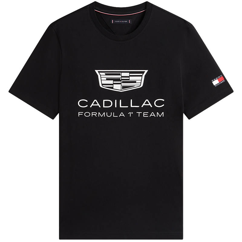 Tommy Hilfiger T Shirts Unisex Crew Neck Moderate