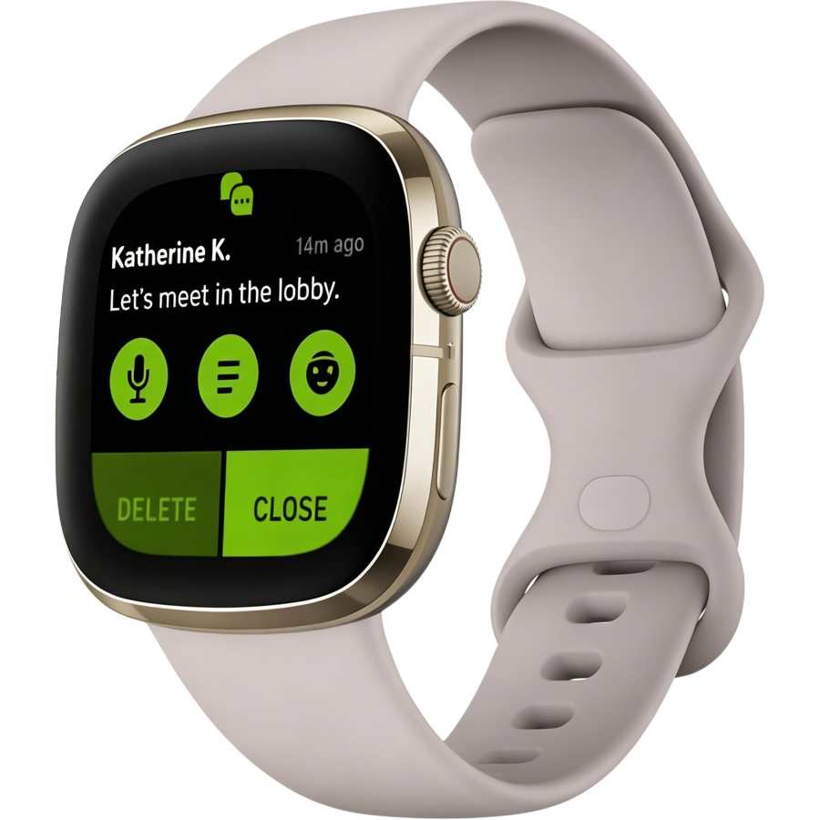 FITBIT FITBIT Smart Watches