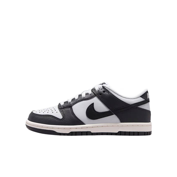 Nike Nike Dunk Kids' Skateboarding Shoes Unisex