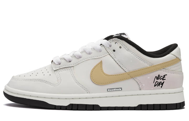 Nike Nike Dunk Skateboard Shoes Unisex Low Top White