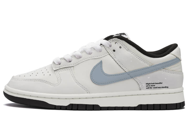 Nike Nike Dunk Skateboard Shoes Unisex Low Top White