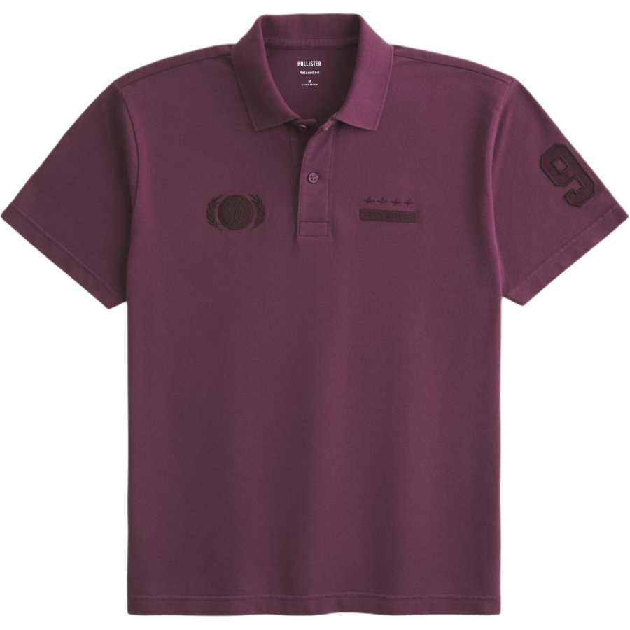Hollister/ Polo Shirts Men's Burgundy Moderate