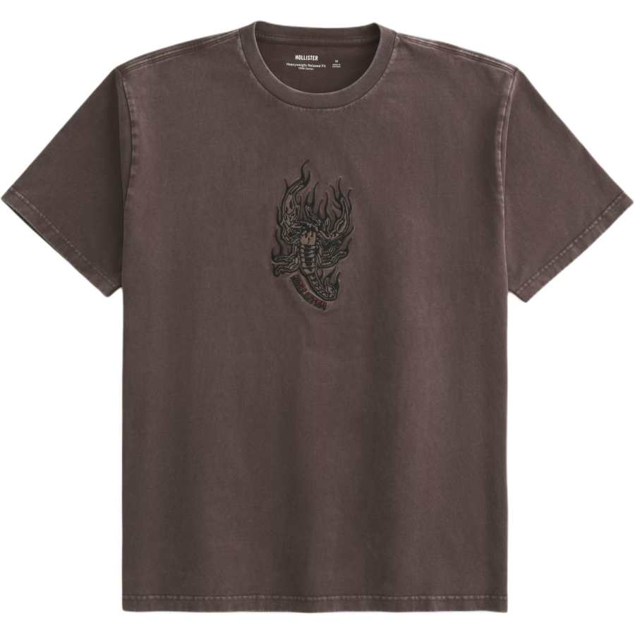 Hollister/ T Shirts Men's Brown Crew Neck