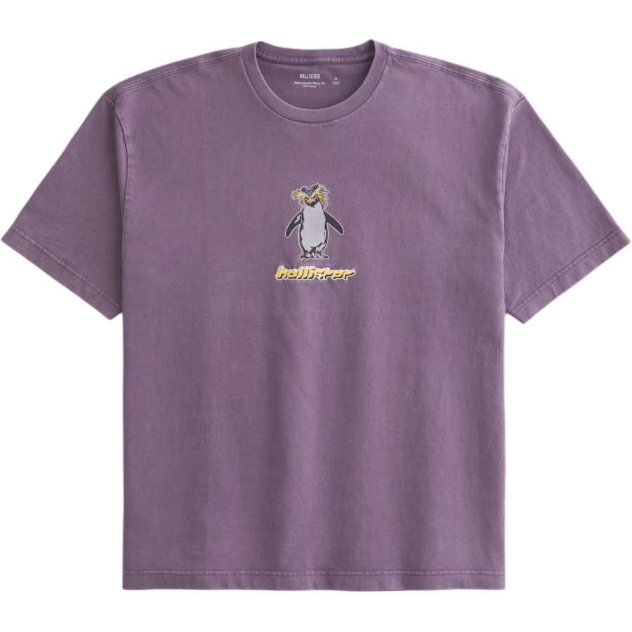 Hollister/ T Shirts Men's Purple Crew Neck Thickened