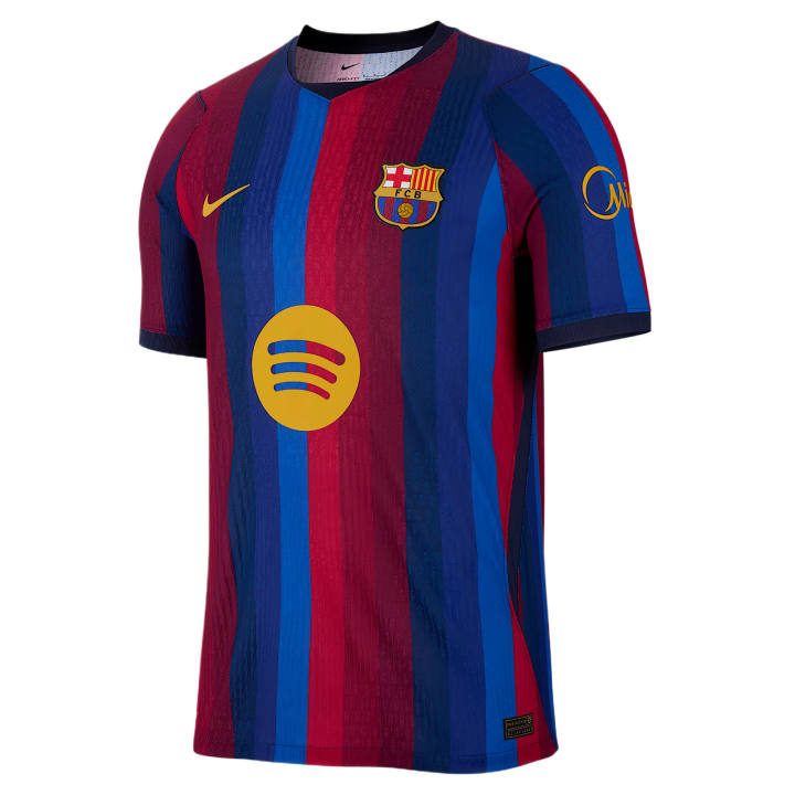 Nike Nike Barcelona Soccer Jerseys Men's V Neck Moderate