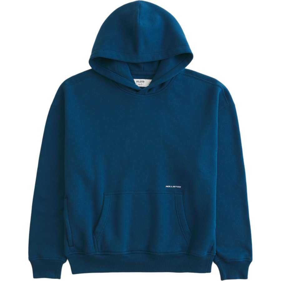 Hollister/ Sweatshirts Men's Dark Blue Hooded Non Detachable Moderate