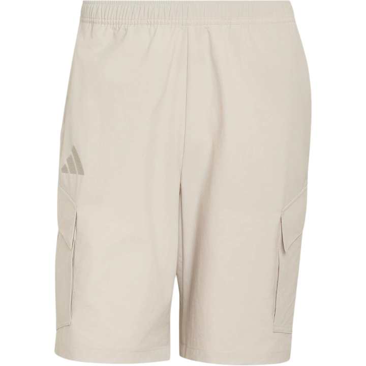 Adidas Adidas Terrex Cargo Shorts Men's Miracle Bauxite Brown Moderate