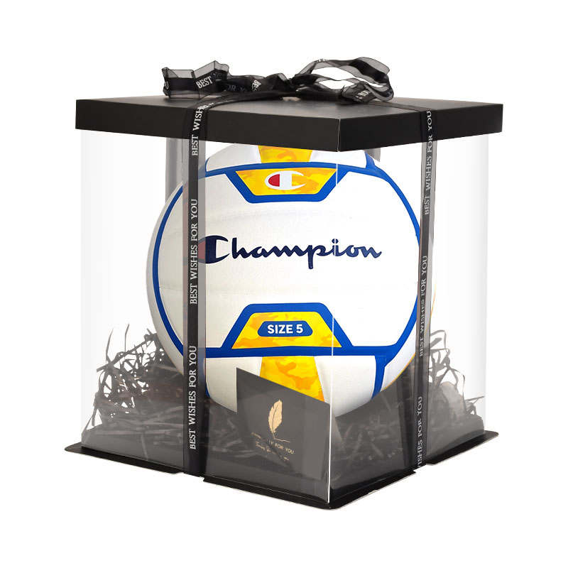 Champion Champion Volleyball
