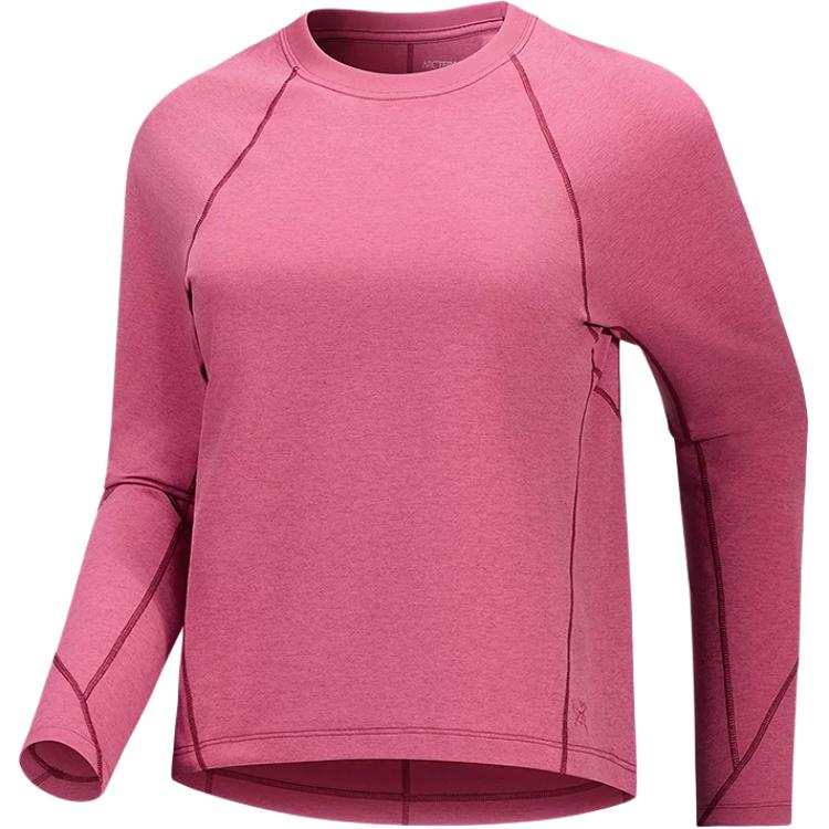 Arcteryx RULA Quick Dry T Shirts Women's Half Turtleneck Moderate